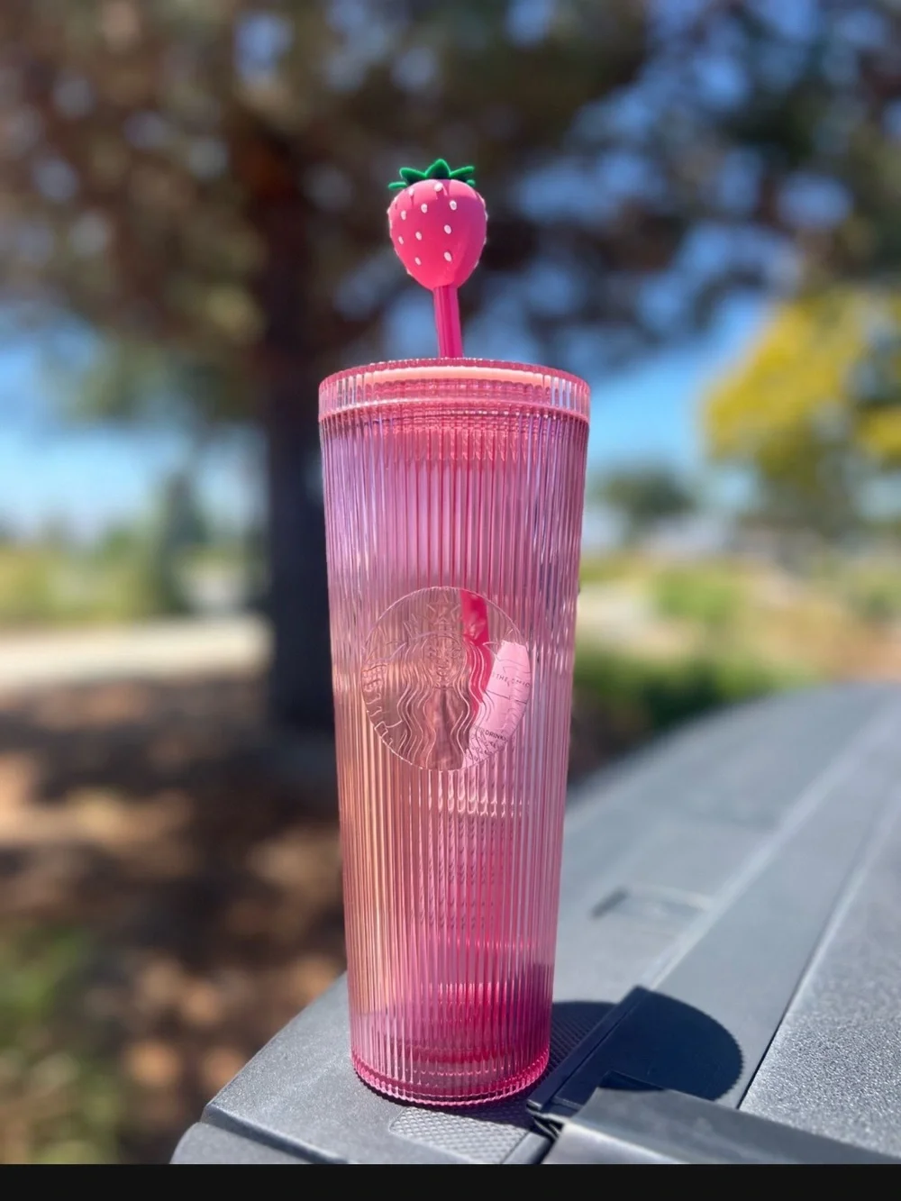 Starbucks Pink Ombre Ribbed Tumbler with Strawberry Top Straw